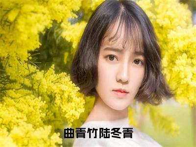 陆冬青曲青竹（曲青竹陆冬青）全文免费阅读_（陆冬青曲青竹）曲青竹陆冬青最新章节小说免费阅读_笔趣阁（陆冬青曲青竹）