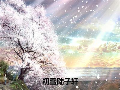 陆子轩初雪（初雪陆子轩）全文小说免费阅读-陆子轩初雪最新章节列表_笔趣阁