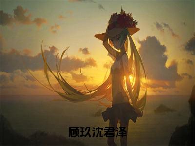 顾玖沈君泽（沈君泽顾玖）免费小说-顾玖沈君泽小说完整版阅读