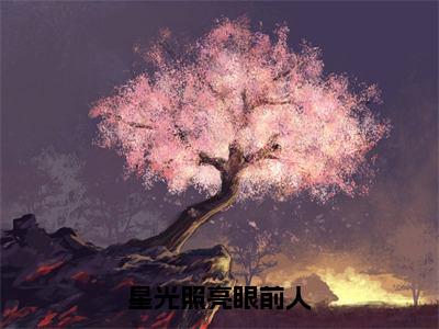 顾湛庭安思雪小说（星光照亮眼前人）全文免费阅读_星光照亮眼前人最新章节列表笔趣阁（顾湛庭安思雪）