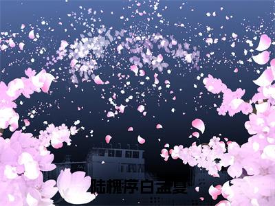 陆槐序白孟夏（大结局小说全集完整版）白孟夏陆槐序小说_陆槐序白孟夏全文阅读笔趣阁（后续）+（全文）