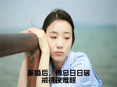 离婚后，傅总日日破戒夜夜难眠（叶聆之傅明司）全文免费阅读无弹窗大结局_离婚后，傅总日日破戒夜夜难眠最新章节列表