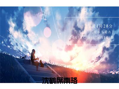 沈鹤席南珞（沈鹤席南珞全章节完整版）免费阅读-沈鹤席南珞全文无删减阅读