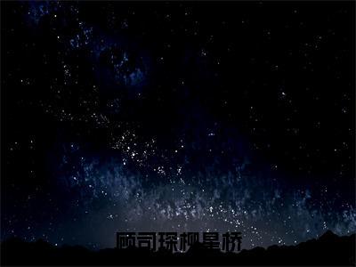 顾司琛柳星桥小说（柳星桥顾司琛）全文免费阅读无弹窗_顾司琛柳星桥小说_笔趣阁