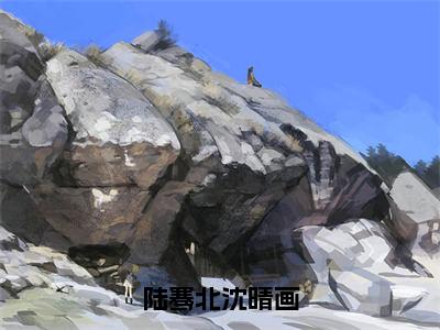 后续+全集沈晴画陆骞北（完整版）热文小说阅读-沈晴画陆骞北全文抖音热推