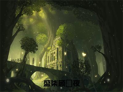 顾璟夜盛柒书名是《盛柒顾璟夜》在线赏析_盛柒顾璟夜热门推荐阅读笔趣阁