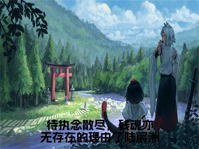 陆宸洲黎沐晚（待执念散尽，残魂亦无存在的理由了陆宸洲）全文免费阅读无弹窗大结局_陆宸洲黎沐晚最新章节列表_笔趣阁（待执念散尽，残魂亦无存在的理由了陆宸洲）