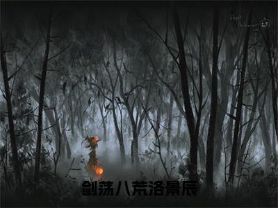 小说（剑荡八荒洛景辰）洛景辰全文阅读-剑荡八荒洛景辰（洛景辰）老书虫书荒推荐热点小说