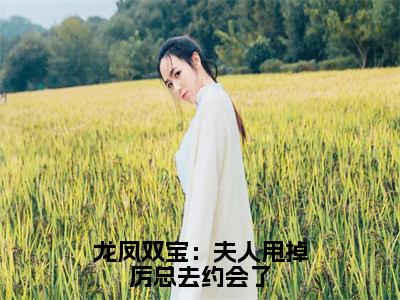 龙凤双宝：夫人甩掉厉总去约会了全文免费完整版-小说龙凤双宝：夫人甩掉厉总去约会了（苏夏厉冷澈）已完结全集大结局