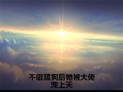 不做舔狗后她被大佬宠上天小说全文免费阅读无弹窗-（沈渊宋瑾阅读无弹窗）穿越小说免费阅读_笔趣阁