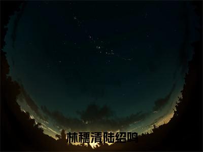 林穗清陆绍鸣（陆绍鸣林穗清）全文免费阅读无弹窗大结局_林穗清陆绍鸣免费阅读无弹窗