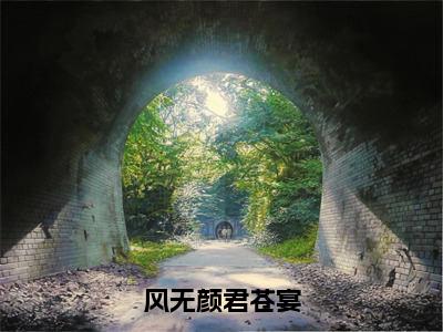 风无颜君苍宴（君苍宴风无颜）全文免费阅读无弹窗大结局_（君苍宴风无颜）风无颜君苍宴最新章节列表_笔趣阁