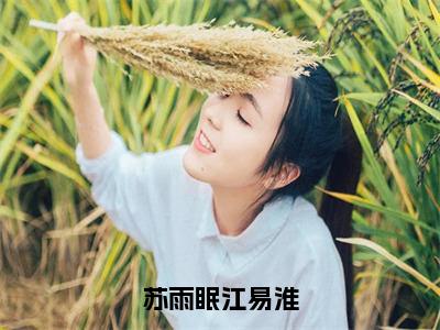 江易淮苏雨眠（苏雨眠江易淮最新全章节大结局）全文阅读-江易淮苏雨眠苏雨眠江易淮在线小说免费阅读