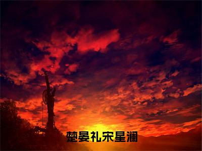 楚晏礼宋星澜小说全文（宋星澜楚晏礼）全文免费阅读无弹窗大结局-（宋星澜楚晏礼）无弹窗免费阅读大结局