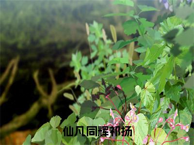 仙凡同辉祁扬小说全文（祁扬）完整版阅读-仙凡同辉祁扬小说全文无删减版