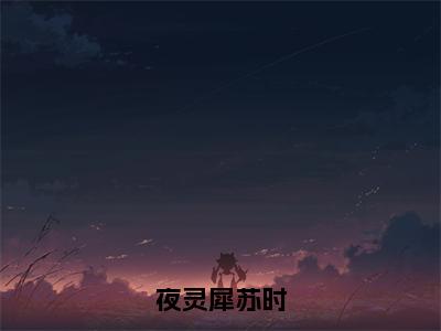 小说（夜灵犀苏时）免费阅读-小说（夜灵犀苏时）夜灵犀苏时全文在线赏析最新章节列表_笔趣阁