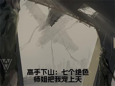 高手下山：七个绝色师姐把我宠上天小说热门章节免费阅读_高手下山：七个绝色师姐把我宠上天最新章节列表_笔趣阁