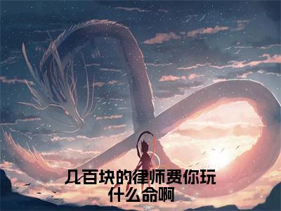 几百块的律师费你玩什么命啊全文免费阅读无弹窗大结局-苏青柏无弹窗阅读