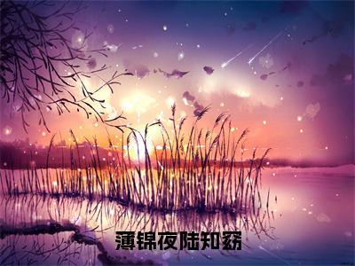 陆知窈薄锦夜免费小说-薄锦夜陆知窈小说完整版阅读