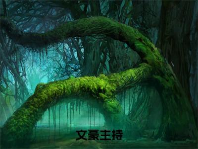 小说《文豪主持》全文免费阅读无弹窗-文豪主持（张谦）小说全文在线赏析_笔趣阁