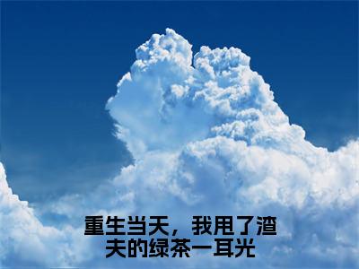 小说苏意窈陆廷时全文阅读-重生当天，我甩了渣夫的绿茶一耳光小说苏意窈陆廷时大结局