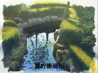 主角为夏柠秦阅川的小说-夏柠秦阅川（夏柠秦阅川）全文最新完整版阅读