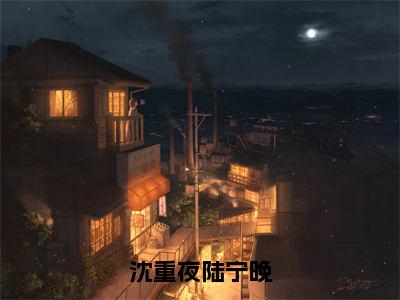 沈重夜陆宁晚（陆宁晚沈重夜）全网首发最火小说-主角陆宁晚沈重夜的小说完整版免费阅读