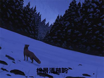 林屿徐景清独家小说徐景清林屿-林屿徐景清无删版小说推荐