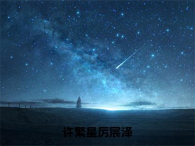 许繁星厉宸泽小说（厉宸泽许繁星）全文免费阅读无弹窗大结局_厉宸泽许繁星小说免费阅读无弹窗最新章节列表