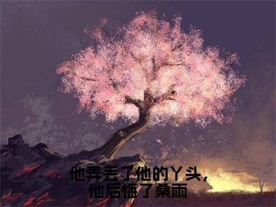 桑雨司夜小说免费阅读他弄丢了他的丫头，他后悔了桑雨全文无弹窗试读