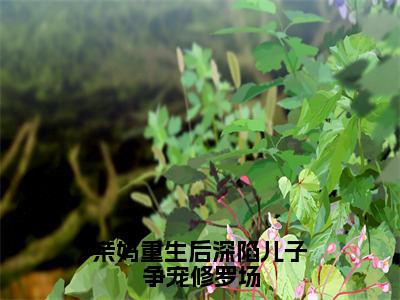 【新书】《林絮》全文免费阅读无弹窗大结局-亲妈重生后深陷儿子争宠修罗场全文全章节免费阅读