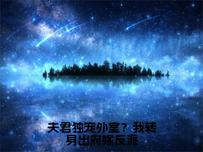 夫君独宠外室？我转身出府嫁反派（谢锦云）全文免费阅读_夫君独宠外室？我转身出府嫁反派免费阅读最新章节列表笔趣阁（谢锦云）