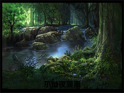 夜简离尔灿（尔灿夜简离）完整全文在线阅读_尔灿夜简离小说全章节目录阅读（夜简离尔灿）