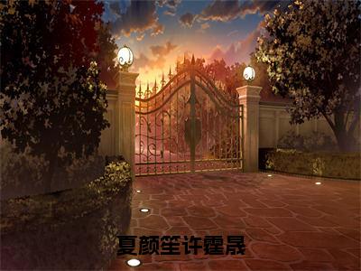 夏颜笙许霆晟精选热门好书-夏颜笙许霆晟（夏颜笙许霆晟）全文无删减版在线阅读