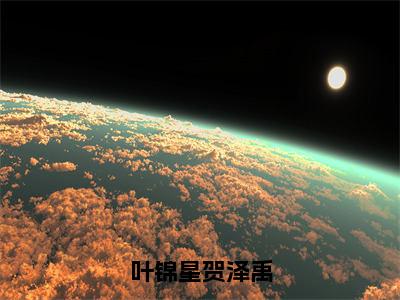 全章节完整《叶锦星贺泽禹》全文阅读《叶锦星贺泽禹》