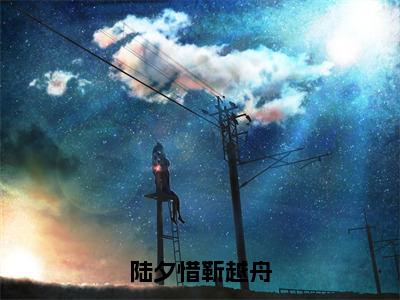 陆夕惜靳越舟无弹窗（陆夕惜靳越舟）全文免费阅读无弹窗大结局_陆夕惜靳越舟最新章节列表（陆夕惜靳越舟）