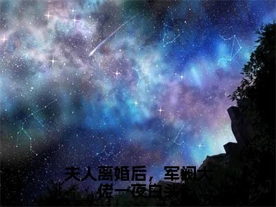 夫人离婚后，军阀大佬一夜白头是什么小说_主角是（盛长裕宁祯）的小说（夫人离婚后，军阀大佬一夜白头）最新章节无弹窗阅读