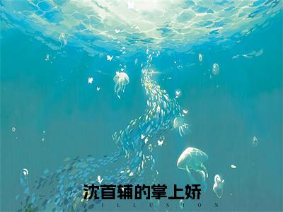 沈首辅的掌上娇（沈延卿江锦璨全章节完整版）免费阅读_（沈延卿江锦璨）沈首辅的掌上娇全文无删减免费阅读