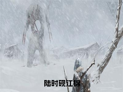 陆时砚江锦（江锦陆时砚）小说全文免费阅读无弹窗大结局_（江锦陆时砚）陆时砚江锦最新章节列表