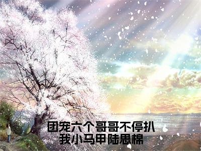 《团宠六个哥哥不停扒我小马甲陆思棉》主角是陆思棉全文免费阅读已完结