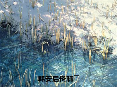 佟林玥韩安启小说（韩安启佟林玥）完整版小说阅读_佟林玥韩安启全本列表免费笔趣阁