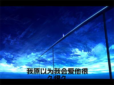 段臻（我原以为我会爱他很久很久最新全章节大结局）全文阅读