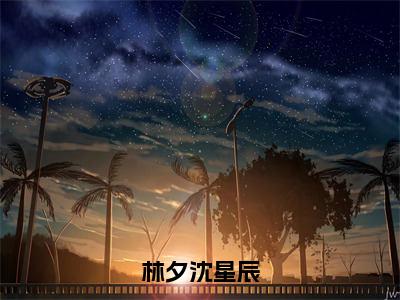 后续+全集林夕沈星辰（完整版）热文小说阅读-林夕沈星辰全文抖音热推