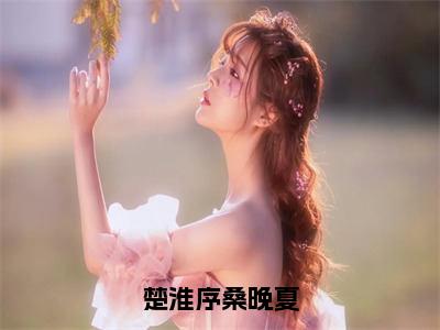 热门小说已完结桑晚夏楚淮序小说无弹窗大结局_桑晚夏楚淮序楚淮序桑晚夏全文阅读大结局