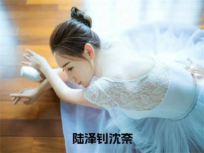 陆泽钊沈奈（大结局小说全集完整版）沈奈陆泽钊小说_陆泽钊沈奈全文阅读笔趣阁（后续）+（全文）