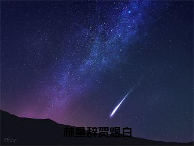 林星辞贺煜白（林星辞贺煜白全文小说）全文免费阅读无弹窗大结局_林星辞贺煜白全文免费阅读最新章节列表