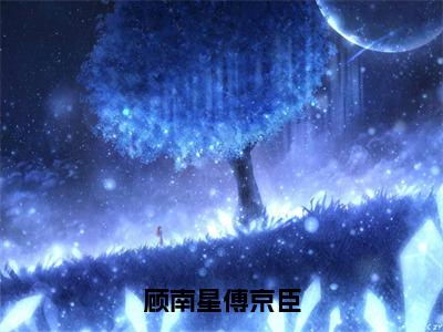 顾南星傅京臣（顾南星傅京臣最新全章节大结局）全文阅读