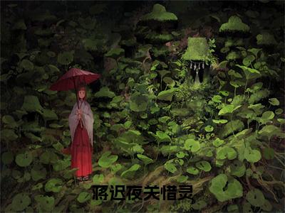 蒋迟夜关惜灵（蒋迟夜关惜灵）全文免费阅读无弹窗大结局_（蒋迟夜关惜灵）免费阅读无弹窗最新章节列表