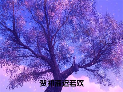 迟若欢贺祁深小说全文-贺祁深迟若欢小说免费阅读大结局