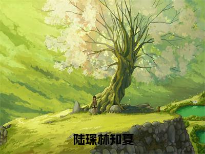 陆琛林知夏小说（林知夏陆琛）全文免费阅读无弹窗大结局_（陆琛林知夏）林知夏陆琛小说最新章节列表